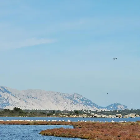 Poseidonia San Teodoro (Sardinia)