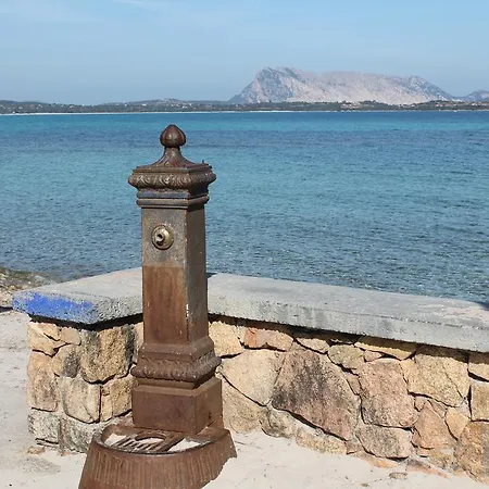 Poseidonia