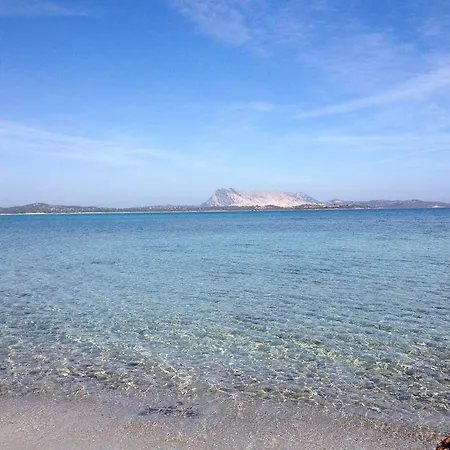 Poseidonia San Teodoro (Sardinia)